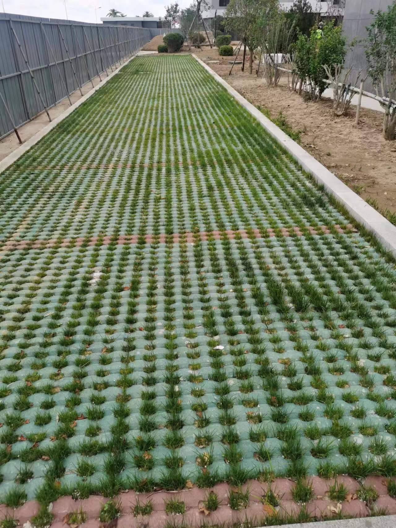 老旧小区改造植草砖 路面砖3.jpg